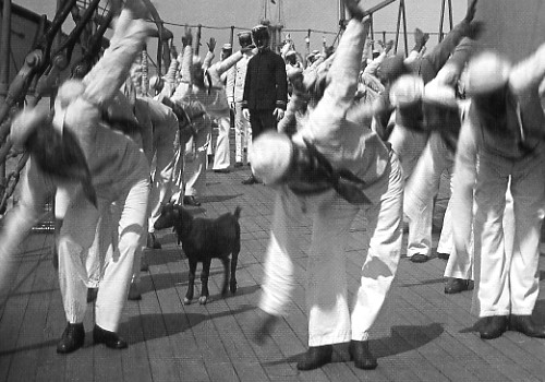 A goat on American warship